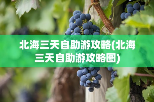 北海三天自助游攻略(北海三天自助游攻略图)
