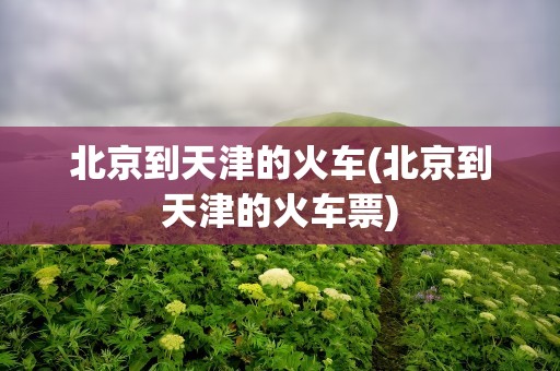 北京到天津的火车(北京到天津的火车票)
