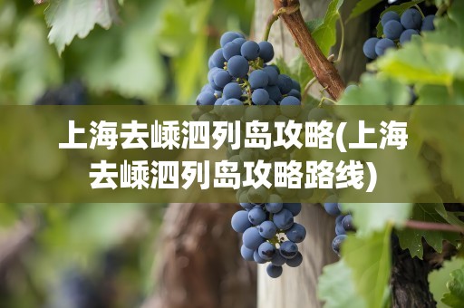 上海去嵊泗列岛攻略(上海去嵊泗列岛攻略路线)