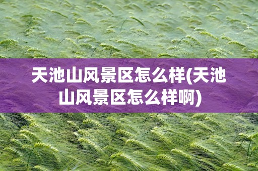 天池山风景区怎么样(天池山风景区怎么样啊)