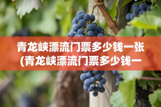 青龙峡漂流门票多少钱一张(青龙峡漂流门票多少钱一张票)