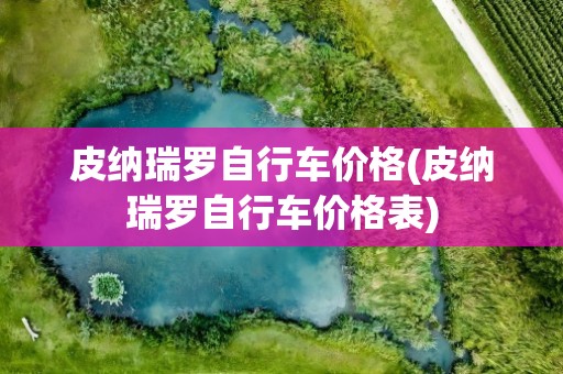 皮纳瑞罗自行车价格(皮纳瑞罗自行车价格表)