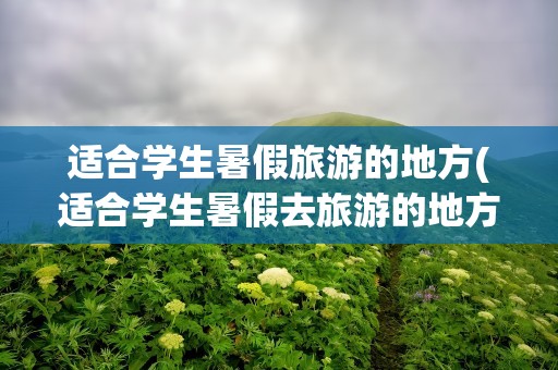适合学生暑假旅游的地方(适合学生暑假去旅游的地方)