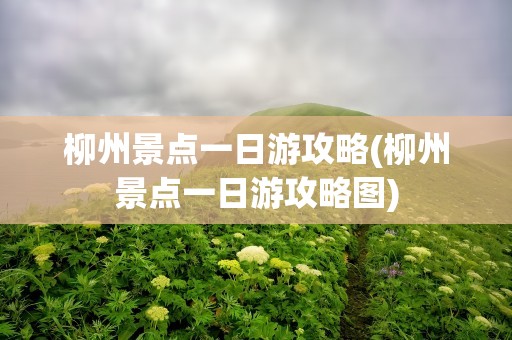 柳州景点一日游攻略(柳州景点一日游攻略图)