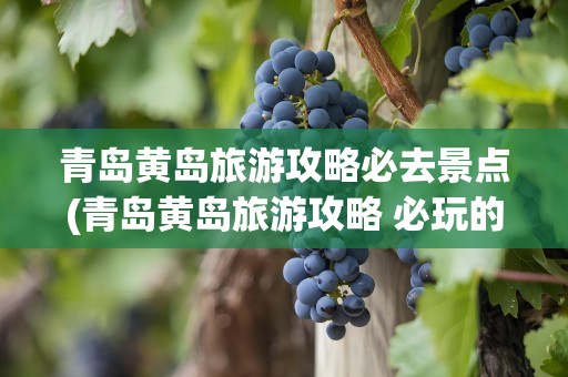 青岛黄岛旅游攻略必去景点(青岛黄岛旅游攻略 必玩的景点)