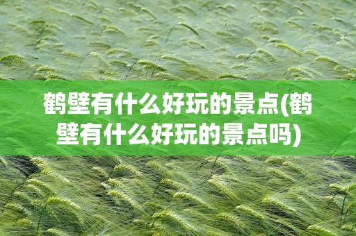 鹤壁有什么好玩的景点(鹤壁有什么好玩的景点吗)
