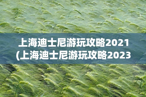 上海迪士尼游玩攻略2021(上海迪士尼游玩攻略2023)