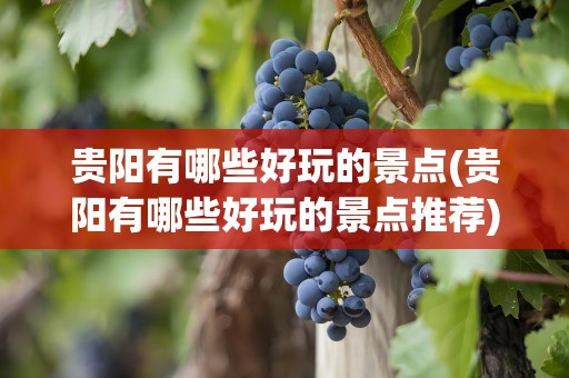 贵阳有哪些好玩的景点(贵阳有哪些好玩的景点推荐)