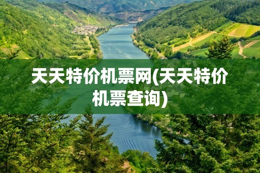 天天特价机票网(天天特价机票查询)