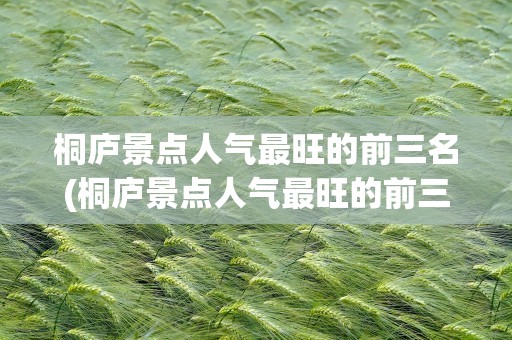 桐庐景点人气最旺的前三名(桐庐景点人气最旺的前三名排名)