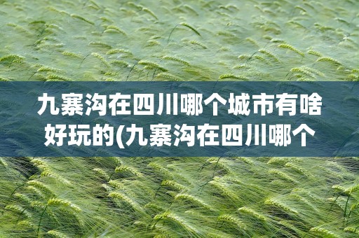 九寨沟在四川哪个城市有啥好玩的(九寨沟在四川哪个城市有啥好玩的地方)