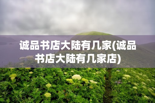 诚品书店大陆有几家(诚品书店大陆有几家店)