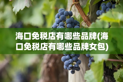 海口免税店有哪些品牌(海口免税店有哪些品牌女包)