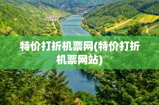 特价打折机票网(特价打折机票网站)