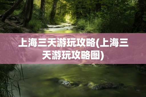 上海三天游玩攻略(上海三天游玩攻略图)