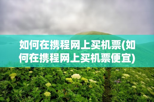 如何在携程网上买机票(如何在携程网上买机票便宜)