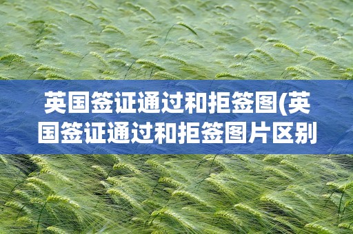 英国签证通过和拒签图(英国签证通过和拒签图片区别)