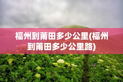 福州到莆田多少公里(福州到莆田多少公里路)