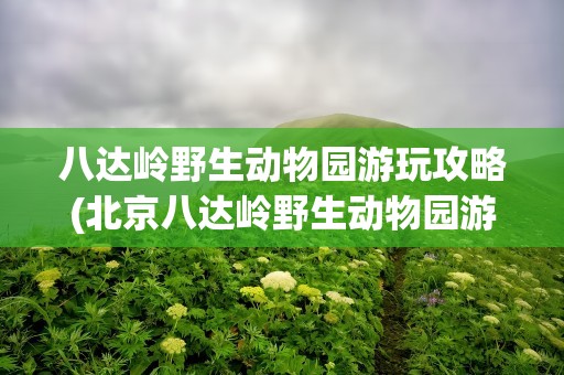 八达岭野生动物园游玩攻略(北京八达岭野生动物园游玩攻略)