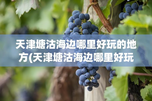 天津塘沽海边哪里好玩的地方(天津塘沽海边哪里好玩的地方推荐)