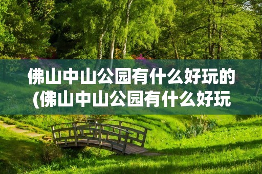 佛山中山公园有什么好玩的(佛山中山公园有什么好玩的地方)