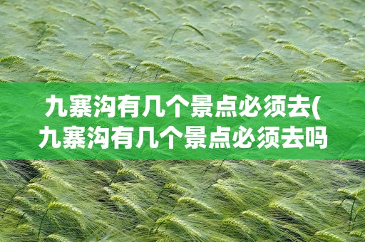 九寨沟有几个景点必须去(九寨沟有几个景点必须去吗)