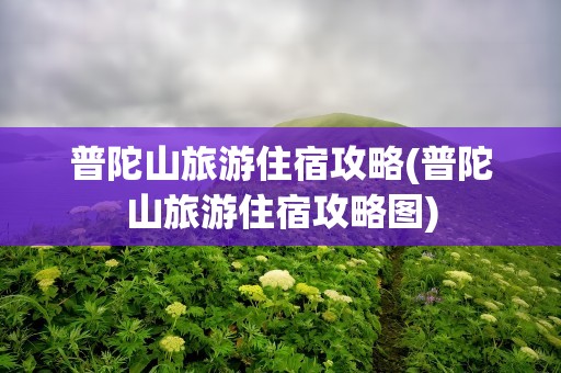 普陀山旅游住宿攻略(普陀山旅游住宿攻略图)