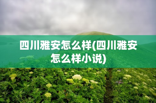 四川雅安怎么样(四川雅安怎么样小说)