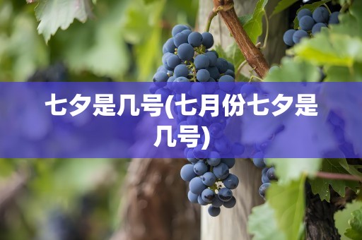 七夕是几号(七月份七夕是几号)