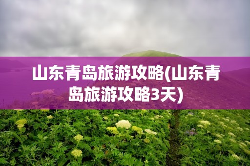 山东青岛旅游攻略(山东青岛旅游攻略3天)
