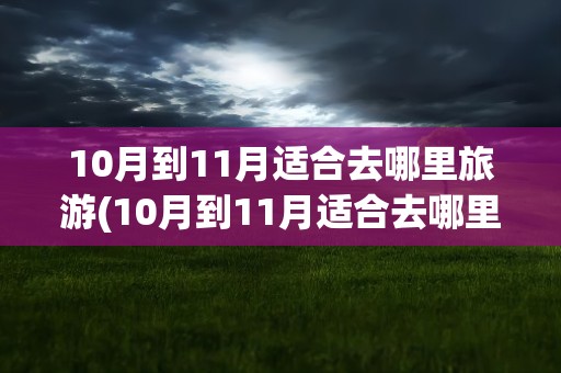 10月到11月适合去哪里旅游(10月到11月适合去哪里旅游呢)