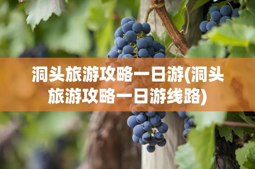 洞头旅游攻略一日游(洞头旅游攻略一日游线路)
