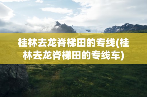 桂林去龙脊梯田的专线(桂林去龙脊梯田的专线车)