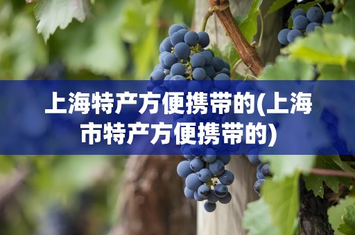 上海特产方便携带的(上海市特产方便携带的)