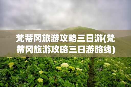 梵蒂冈旅游攻略三日游(梵蒂冈旅游攻略三日游路线)