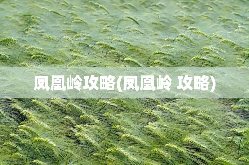 凤凰岭攻略(凤凰岭 攻略)