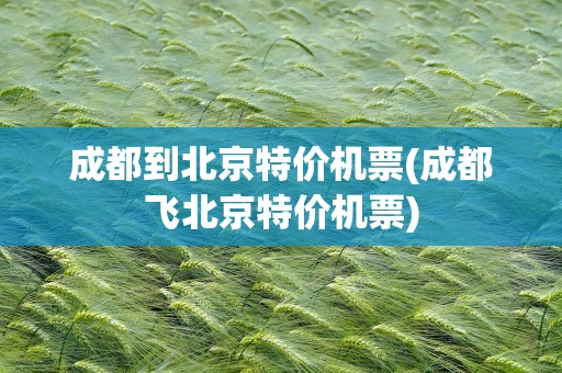 成都到北京特价机票(成都飞北京特价机票)
