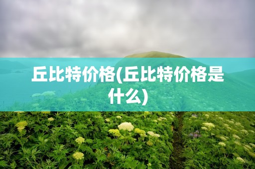 丘比特价格(丘比特价格是什么)