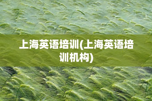 上海英语培训(上海英语培训机构)
