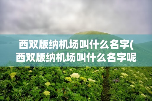西双版纳机场叫什么名字(西双版纳机场叫什么名字呢)