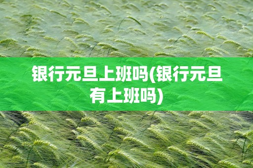 银行元旦上班吗(银行元旦有上班吗)