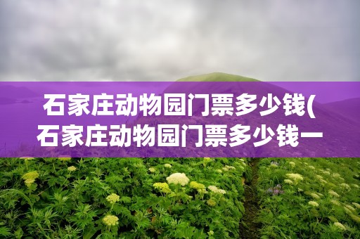 石家庄动物园门票多少钱(石家庄动物园门票多少钱一张)