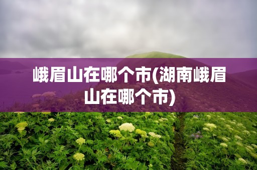 峨眉山在哪个市(湖南峨眉山在哪个市)