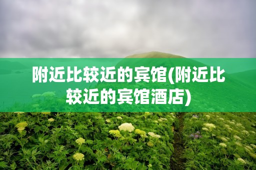 附近比较近的宾馆(附近比较近的宾馆酒店)