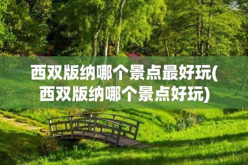 西双版纳哪个景点最好玩(西双版纳哪个景点好玩)