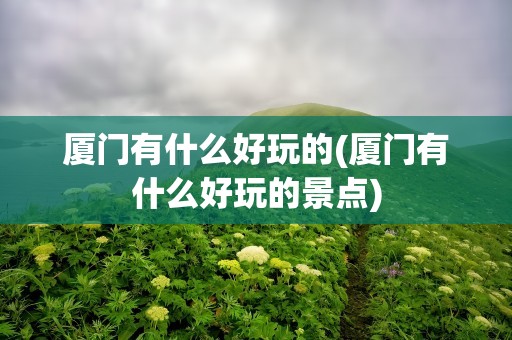 厦门有什么好玩的(厦门有什么好玩的景点)
