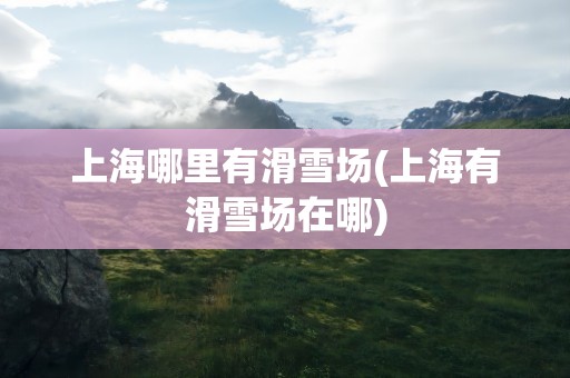 上海哪里有滑雪场(上海有滑雪场在哪)