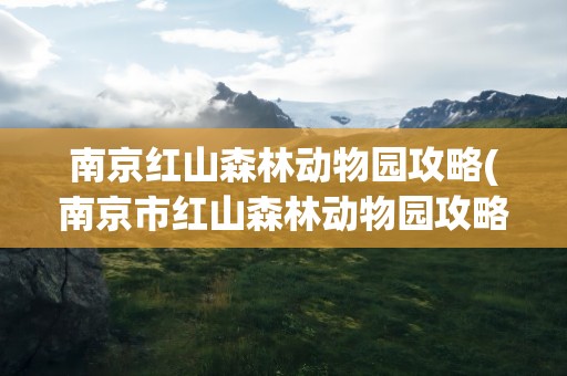 南京红山森林动物园攻略(南京市红山森林动物园攻略)
