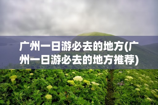 广州一日游必去的地方(广州一日游必去的地方推荐)