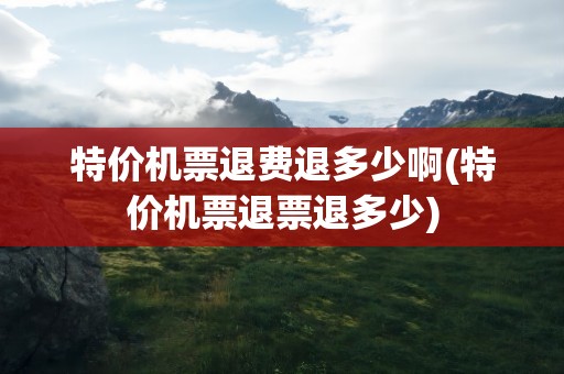 特价机票退费退多少啊(特价机票退票退多少)